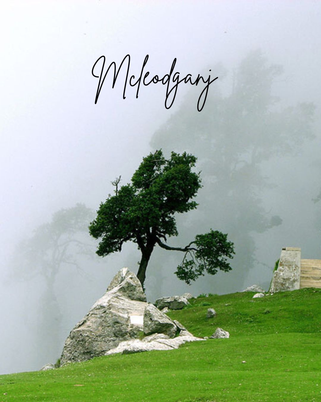 Mcleodganj Tour Package – Monasteries & Tibetan Culture